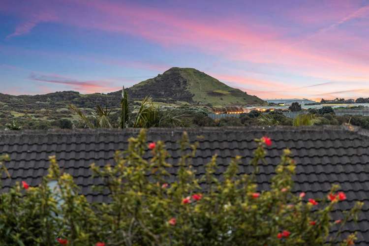 63 Finlayson Avenue Clendon Park_13