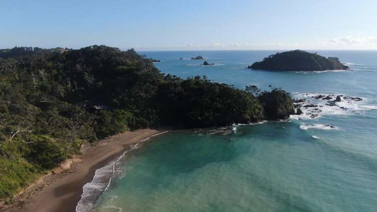 Lot 1 Tern Lane Whananaki_13