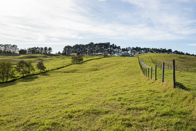 Parahi Road Ruawai_17