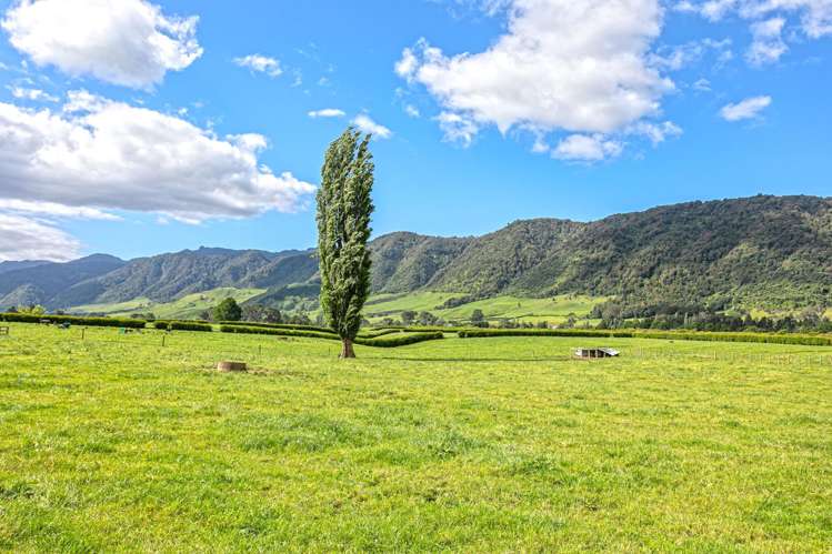 1387 Old Te Aroha Road Matamata_23