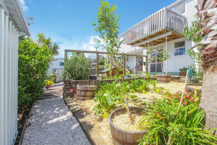 15 Gledstane Road Stanmore Bay_0