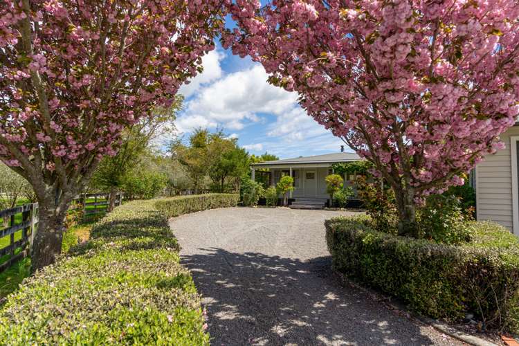228c Norfolk Road Carterton_20