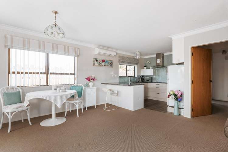 134b Fraser Street Tauranga South_3