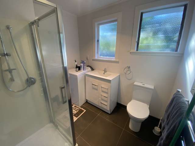 1/181a Arthur Street Onehunga_3