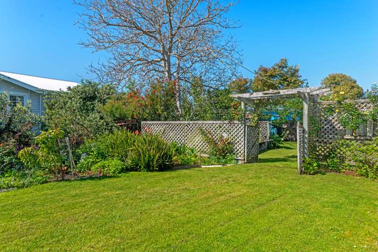 59 Graham Road Inner Kaiti_16