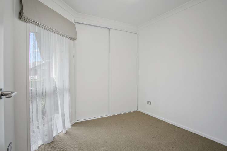 16 Mckenzie Place Matamata_5