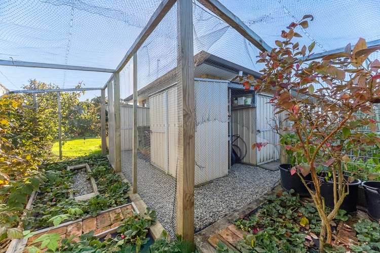 17 Dal Din Drive Otaki_18