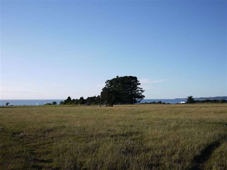 20d Kanuka Lane Hapuku_5