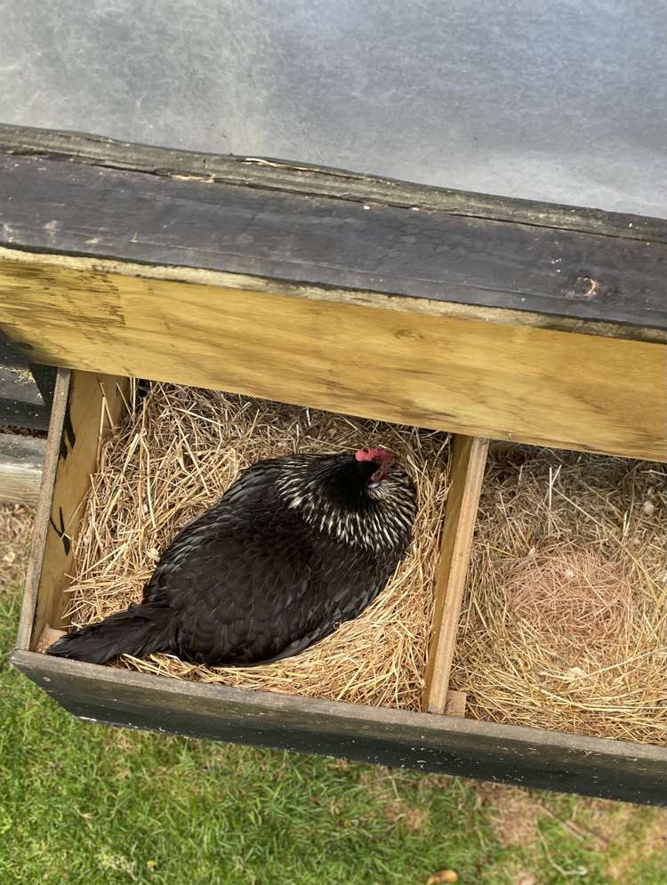 96 Middle Road Allenton_9