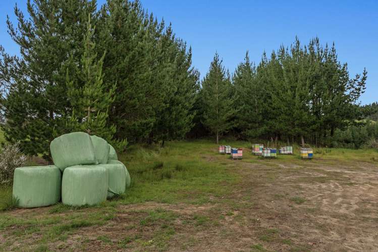 26 Settlement Road Pikowai_6