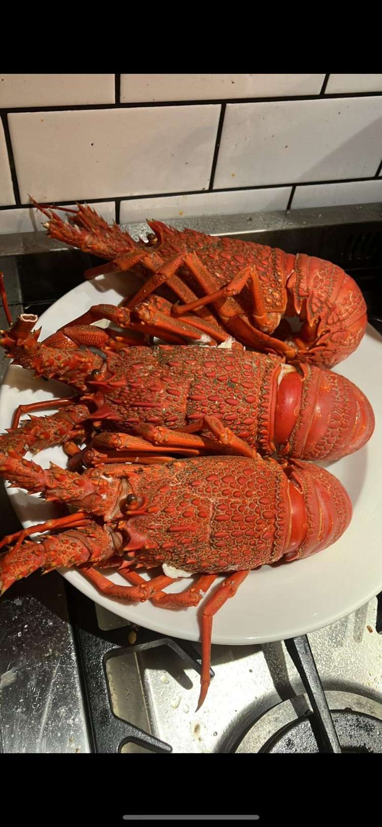 645A Te Awaiti Road Martinborough_46