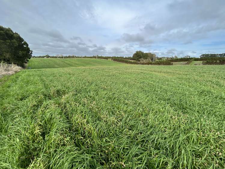 Matarikoriko Road Waitara_7