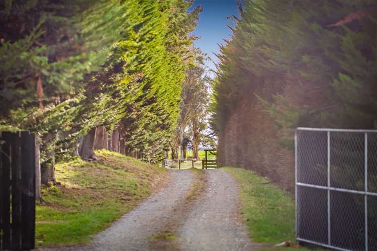 321 Southbridge Leeston Road Leeston_31