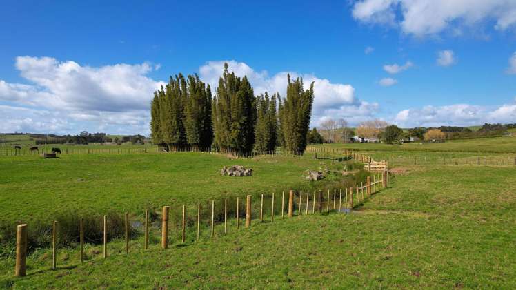 Lot Lot 1 Marshall Road Pakaraka_10