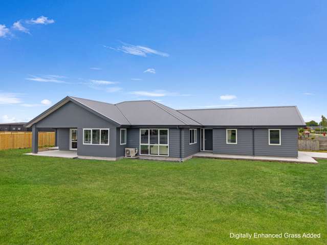 Your Everyday, Elevated in Every Way