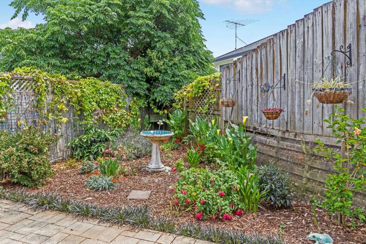 29 Palmgreen Court Stanmore Bay_6