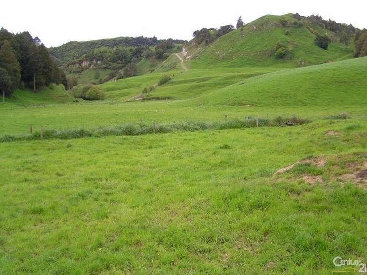 872 Puketawai Road Otorohanga_14