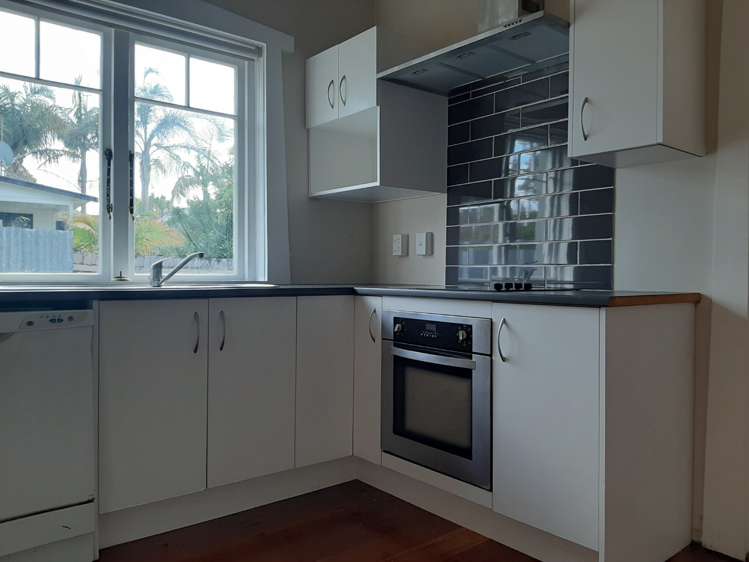 9 Rimu Street New Lynn_1