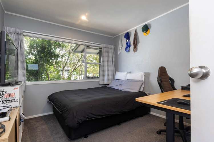 17d Methuen Road Avondale_10