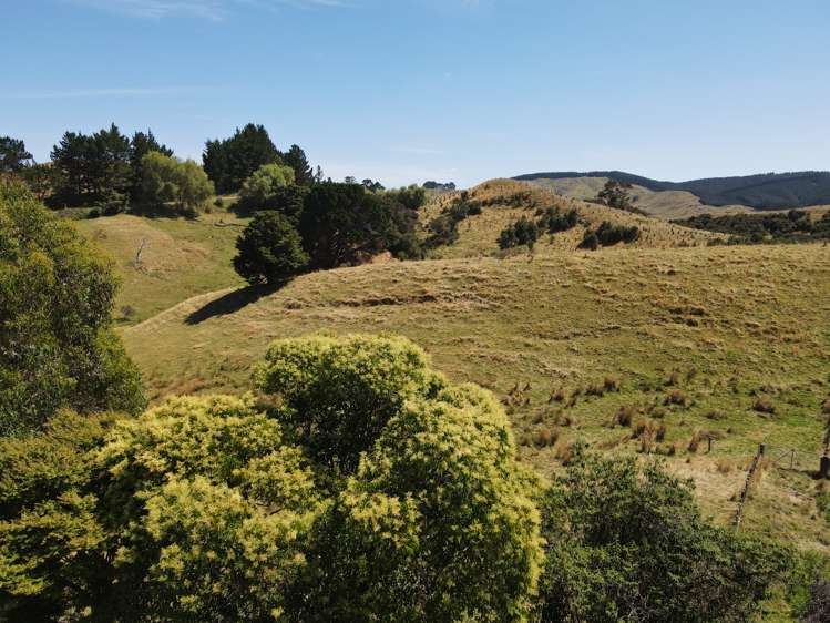 Esdaile Road Dannevirke_2