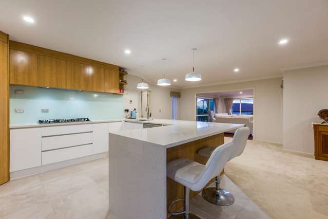 10 Bejoy Rise East Tamaki Heights_2