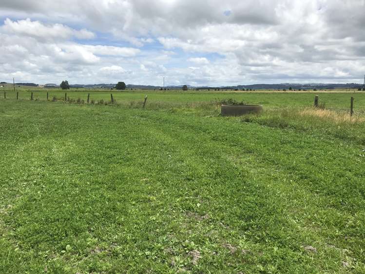 112 Mountain View Road Hikurangi_2