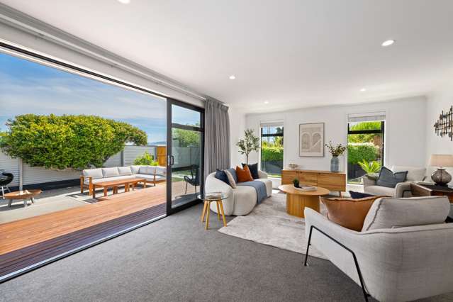 61 Houldsworth Street Blenheim_4