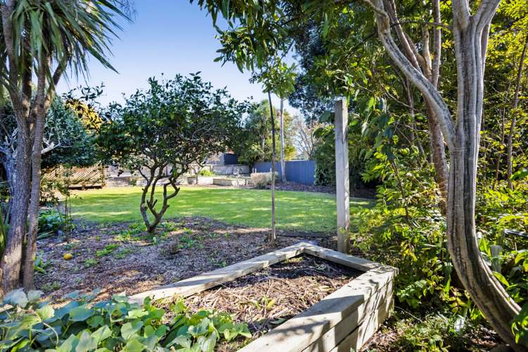 3a Waimea Street Westown_12