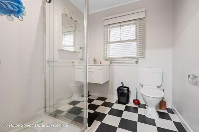 17 Hope Street Dunedin Central_4