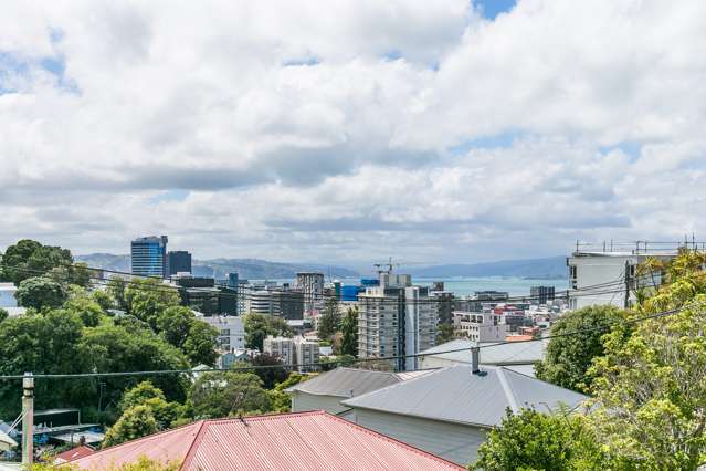 31 Maarama Crescent Aro Valley_4