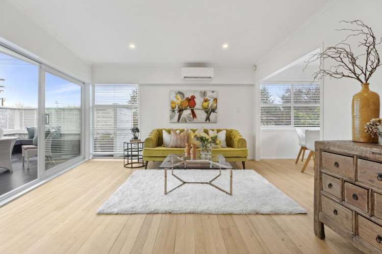 3 Toatoa Place_3