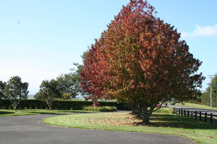 42 Budden Road Pokuru_22