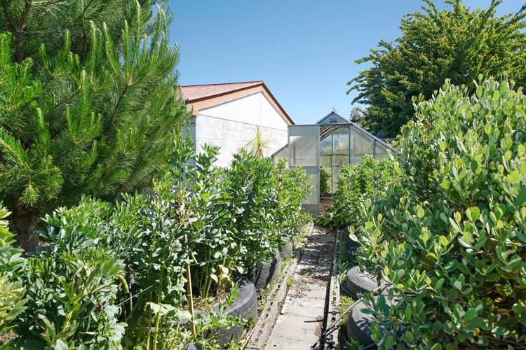 23 Florida Street Hornby_19