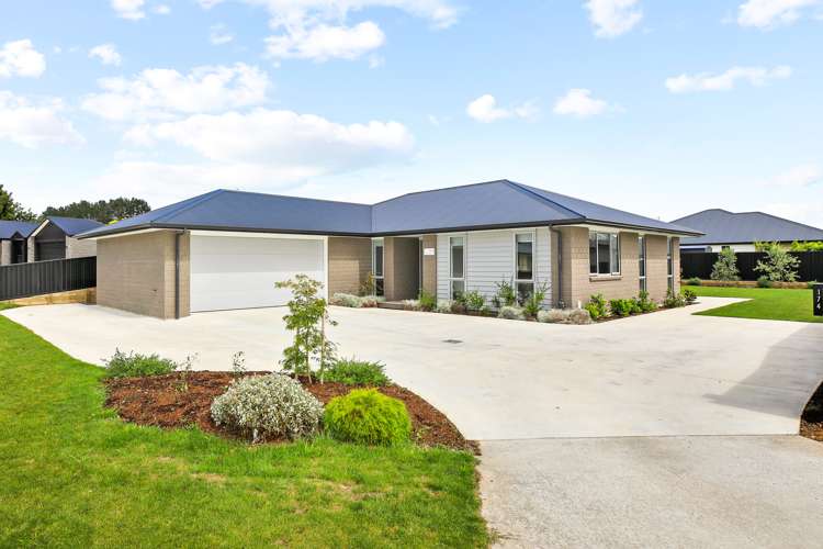 174 Page Crescent Te Awamutu_6