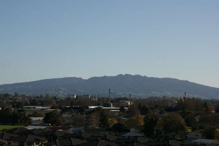 493 Picquet Hill Road Te Awamutu_17