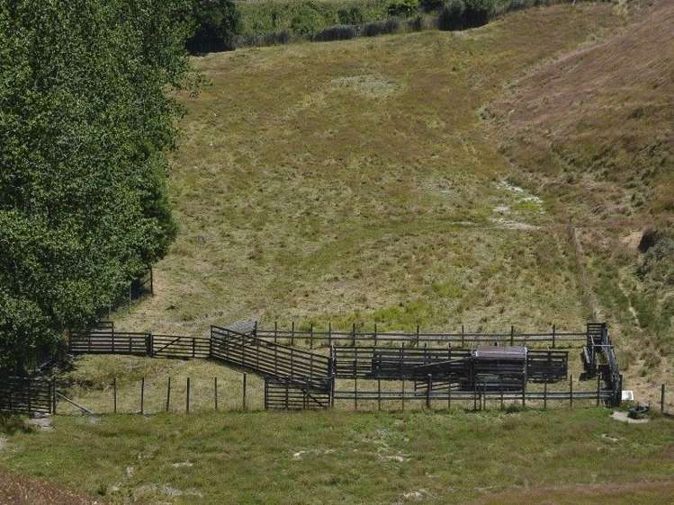 97 Brake Road Ngongotaha_12