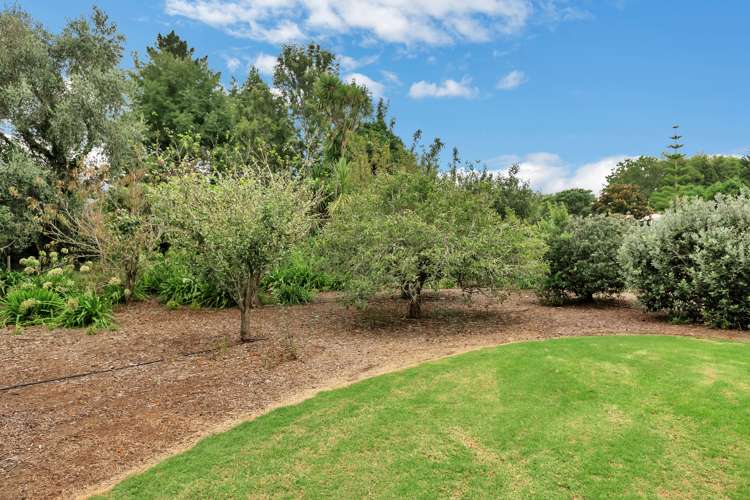 1220 Pipiwai Road Ruatangata_23