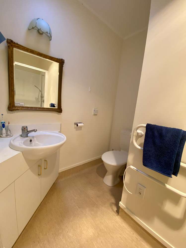 39b Saint Albans Avenue Hokowhitu_17