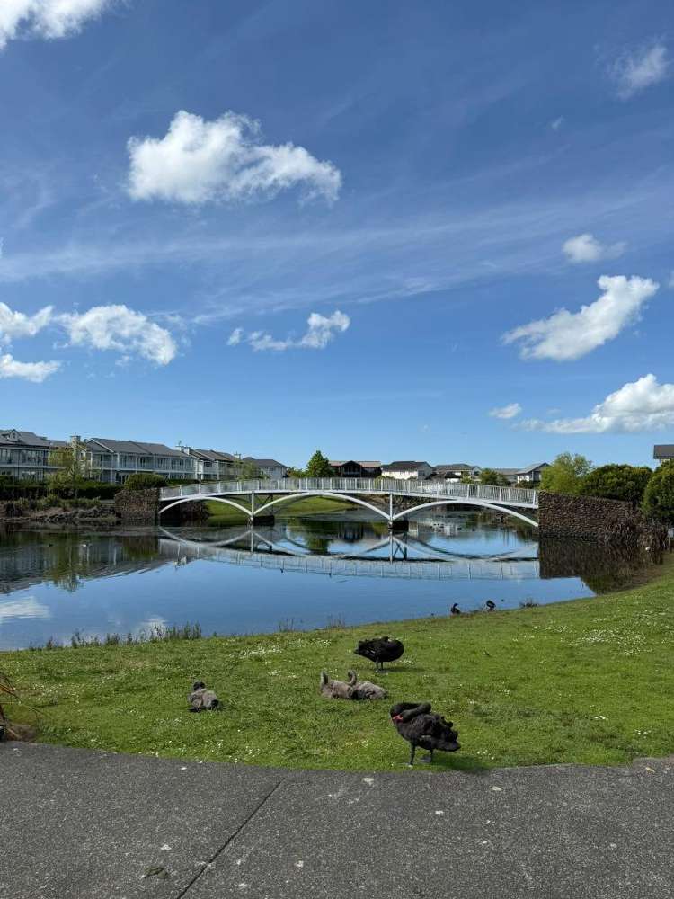 67 Costa Viva Crescent 1694_16