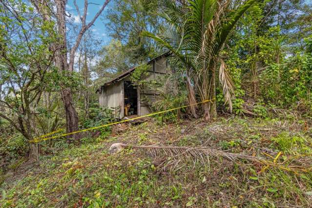 19 & 21 Paturoa Road Titirangi_4