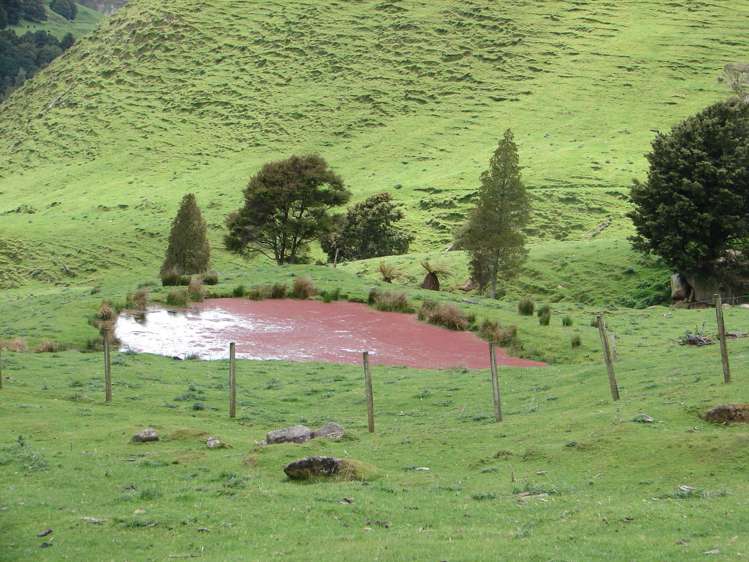 1742 Taringamotu Road Taringamotu_9