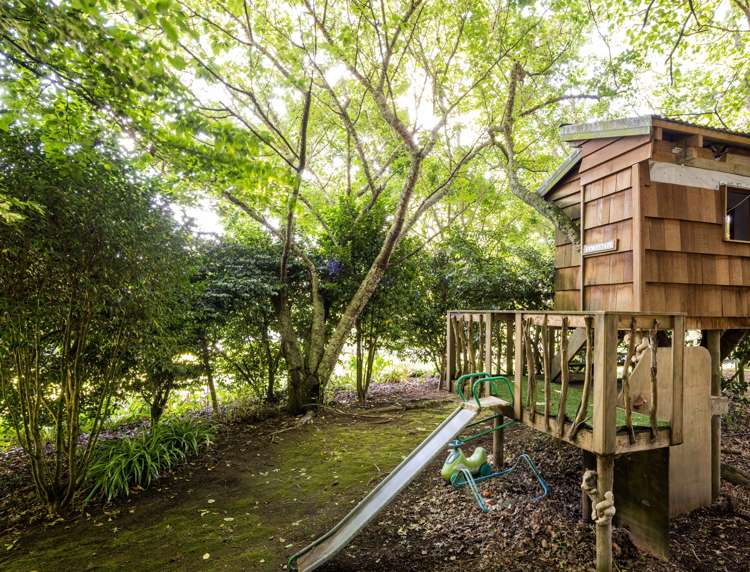 109 Butcher Road Matangi_34