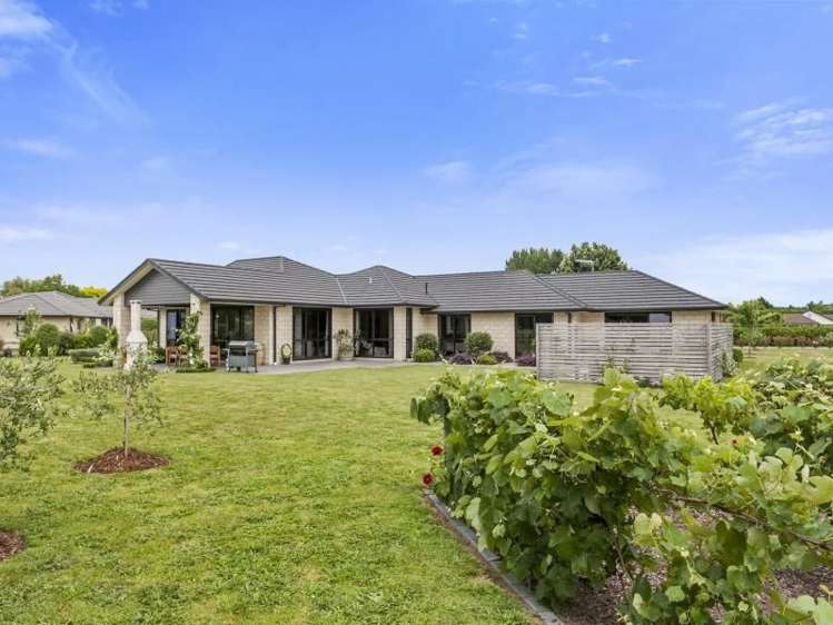 28d Roto O Rangi Road Leamington_5