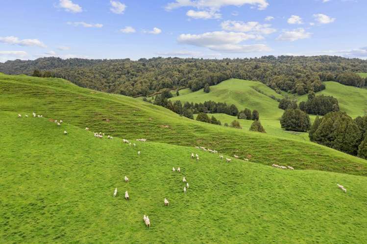 878 Mokauiti Road Aria_16