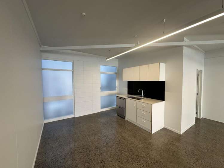 92 Parnell Road Parnell_9