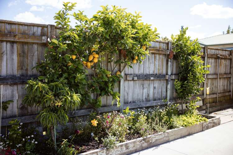 58B Wilson Rd South Paengaroa_28