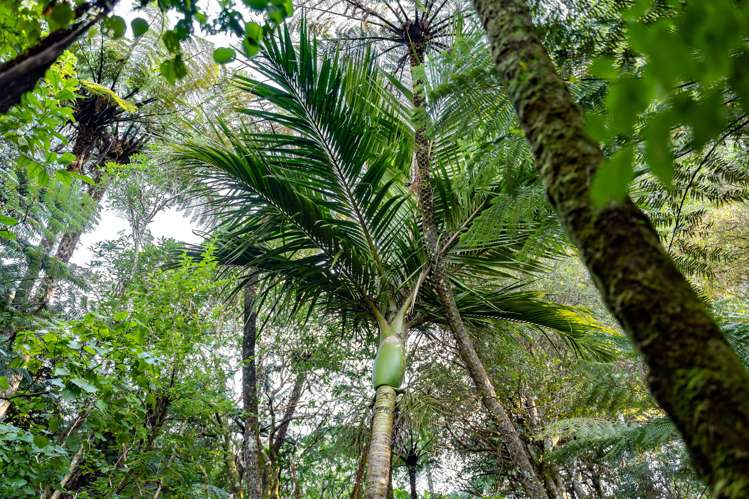 63a Cundys Road Featherston_22