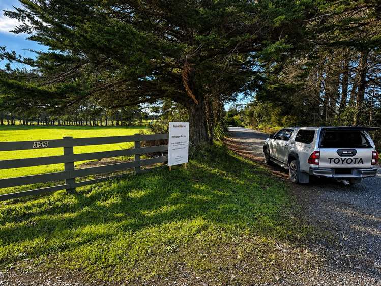 359 Kimberley Road, Ngataki_4
