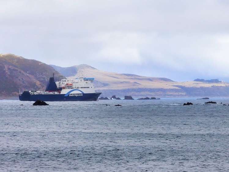 65 Breaker Bay Road Breaker Bay_19