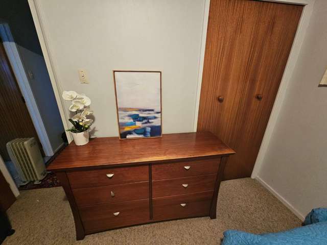 28 Freyberg Avenue Tamatea_4